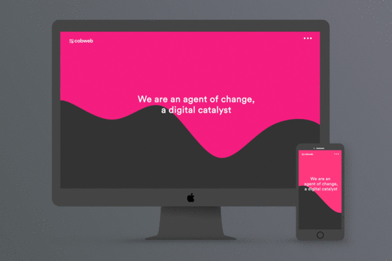 Cobweb project