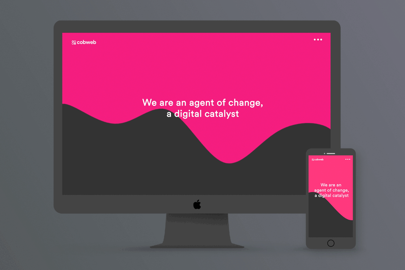 Cobweb project