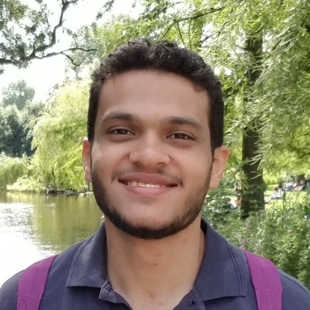 Ahmed hamed developer in london united kingdom toptal 