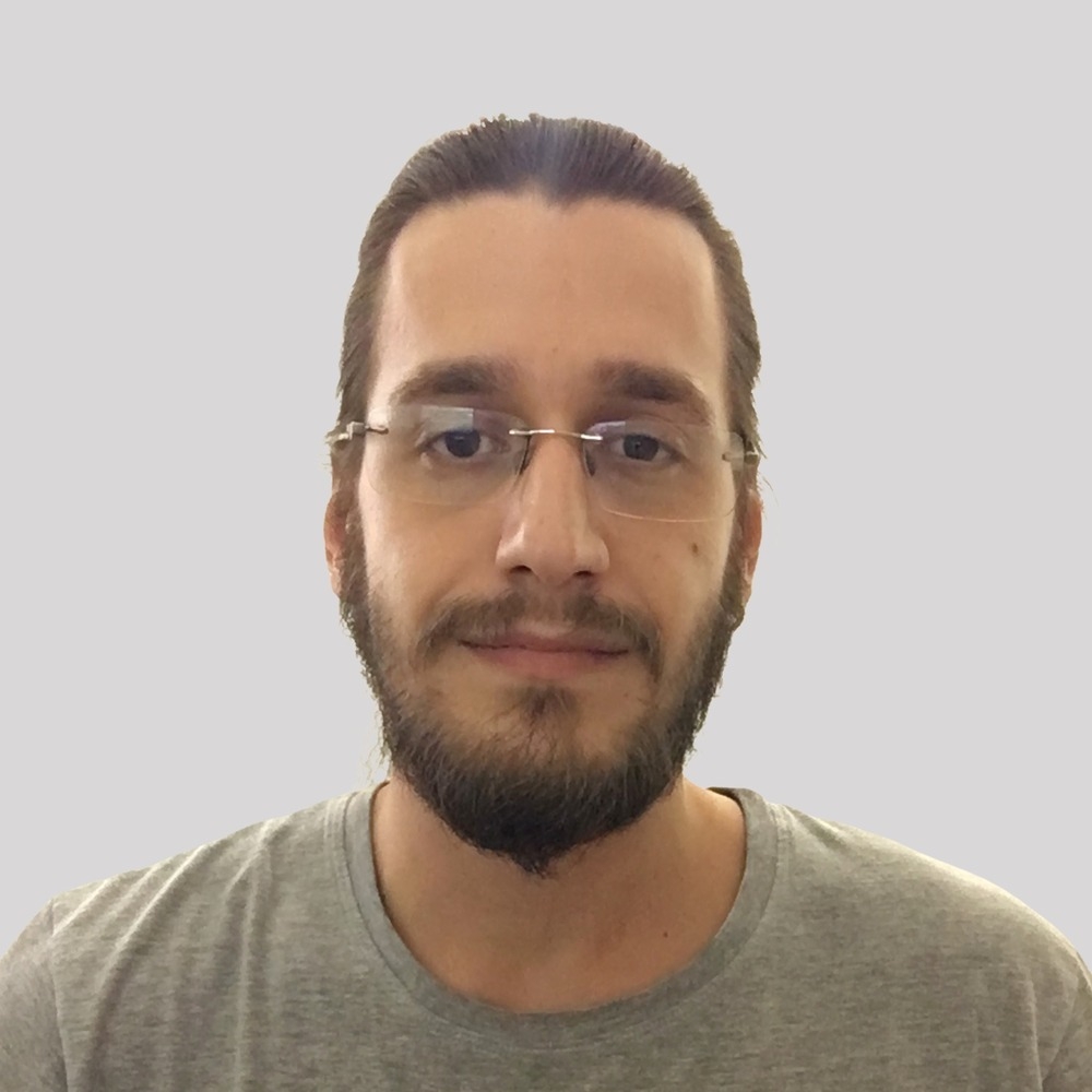 Miguel Faggioni Fernandes Developer in Campinas State of São Paulo