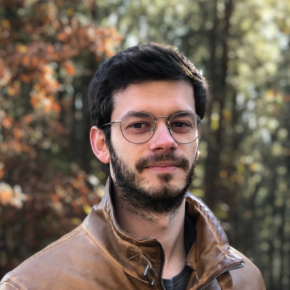 Ricardo Gomes Developer in Rotterdam, Netherlands Toptal®