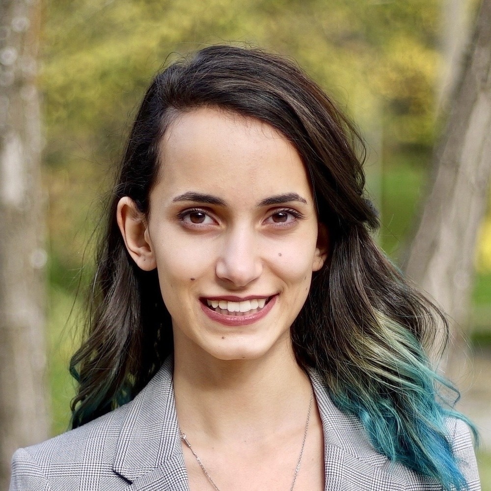 Diyala erekat developer in ankara turkey toptal 