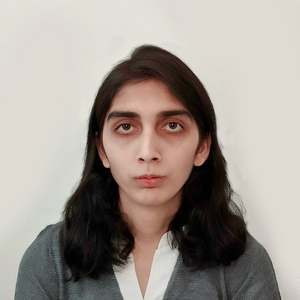 Sara elsayeda developer in winnipeg mb canada toptal 