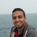 Ali Abdel Aal