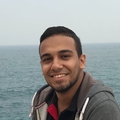 Ali Abdel Aal