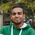 Ali Abdel Aal