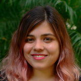 Giulia Cardieri, Freelance CSS Programmer for Hire.