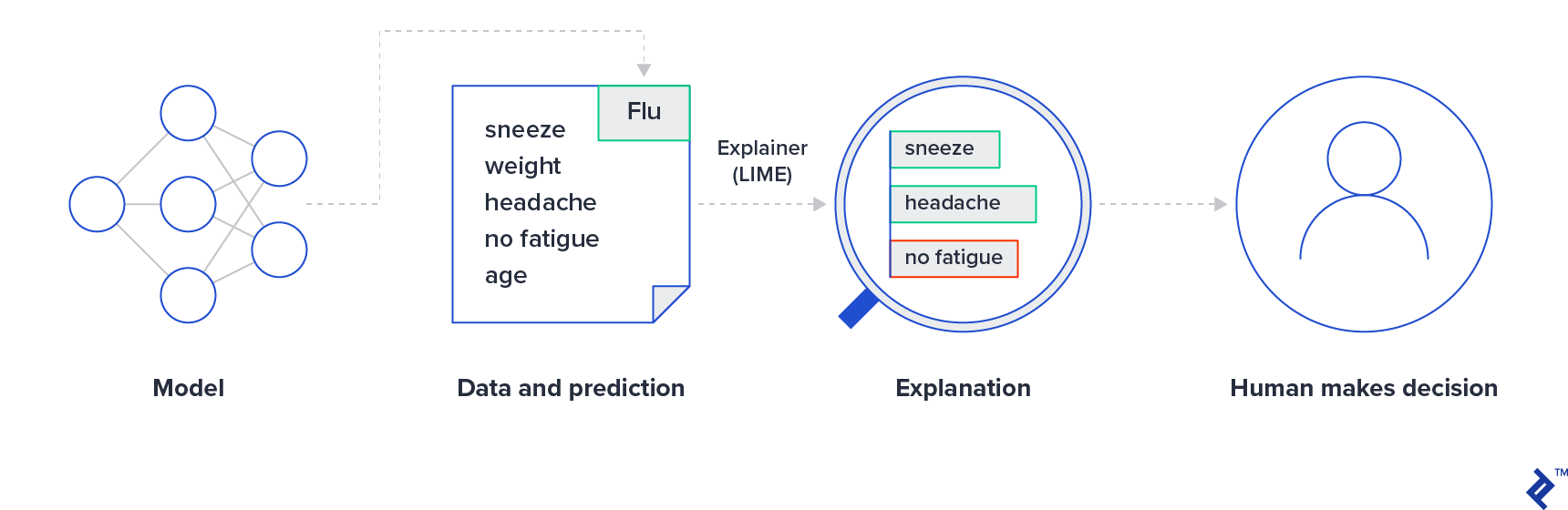 Explaining individual predictions to a human decision-maker. The model predicts that a patient has the flu based on symptoms or lack thereof. The explainer, LIME, reveals to the doctor the weighting behind each symptom and how it fits the data. The doctor still makes the final decision but is better informed about the model's reasoning. Based on an image made by Marco Tulio Ribeiro